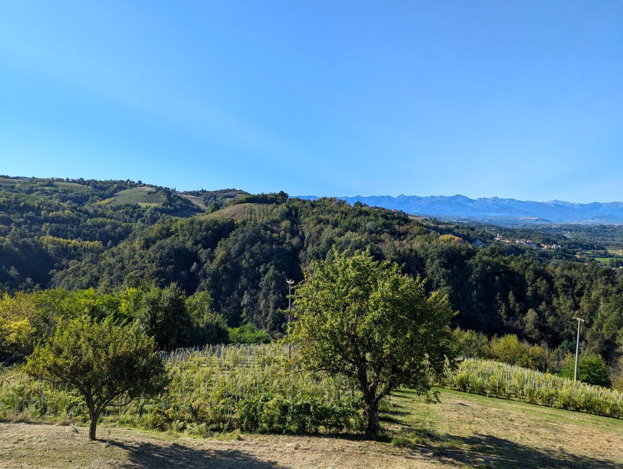 Farigliano Casa Feliceヴィラ エクステリア 写真